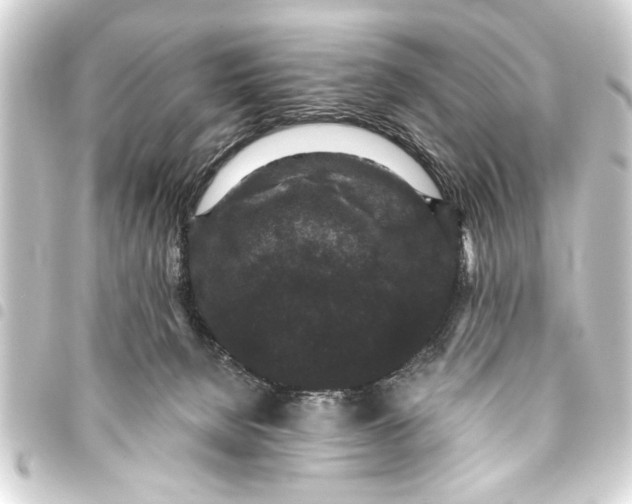 X0000093450080200711021123