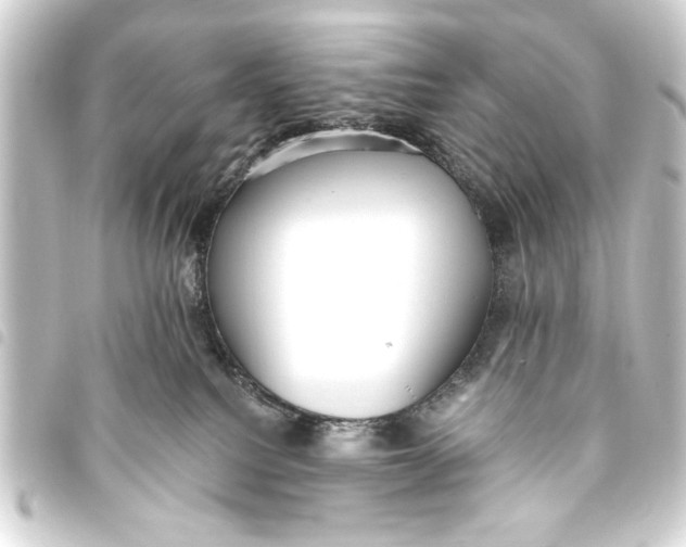 X0000093450088200711021123