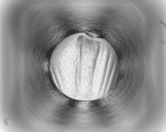 X0000093450090200711021123