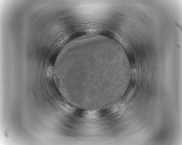 X0000093450093200711021123