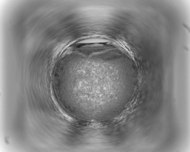 X0000093450097200711021122