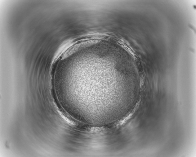 X0000093450101200711021122