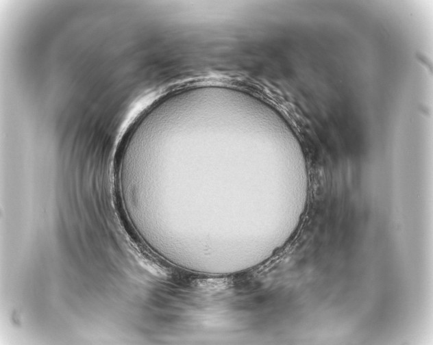 X0000093450102200711021122