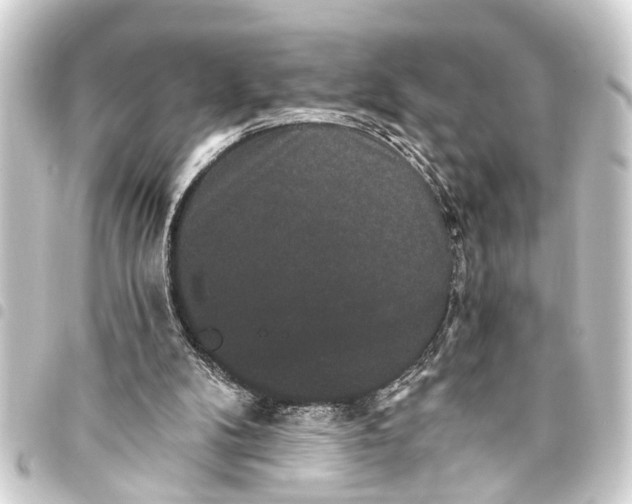 X0000093450104200711021122