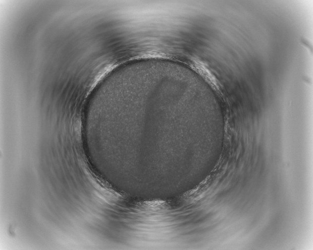 X0000093450108200711021122