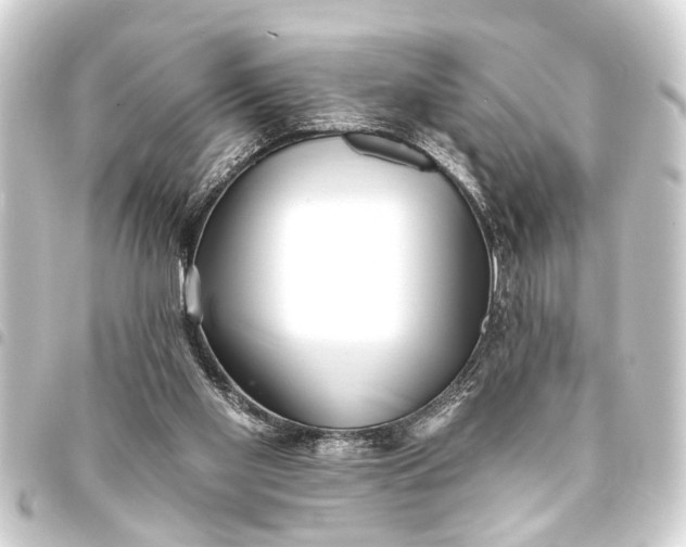 X0000093450109200711021122