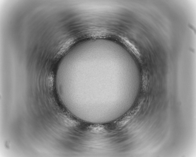 X0000093450113200711021122