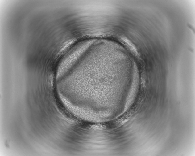 X0000093450115200711021122