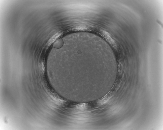 X0000093450116200711021122