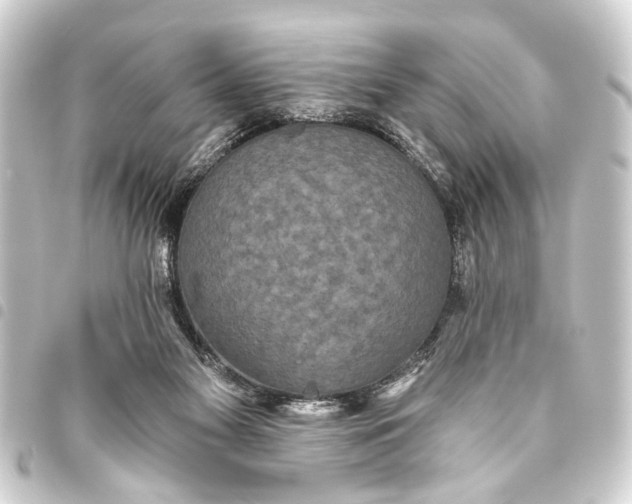 X0000093450117200711021122