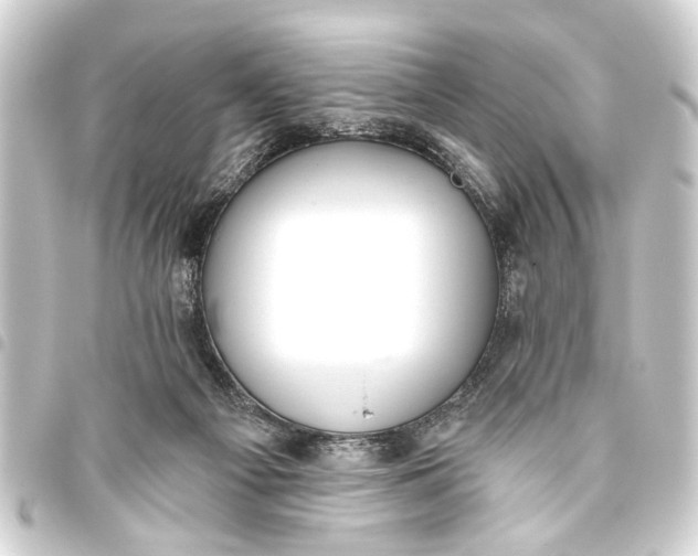 X0000093450121200711021122