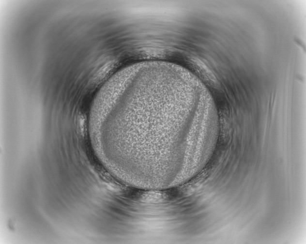 X0000093450123200711021122