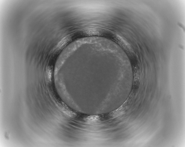 X0000093450124200711021122