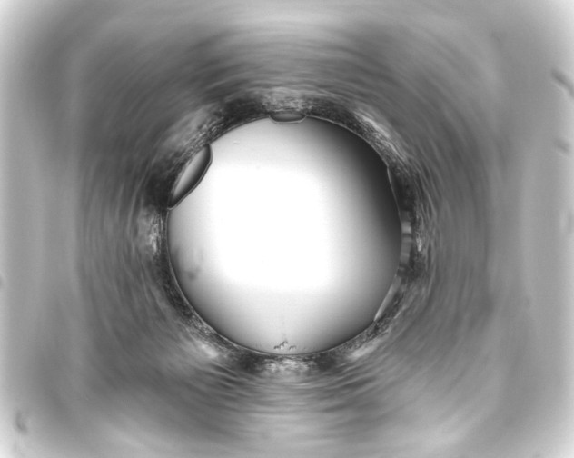 X0000093450125200711021122