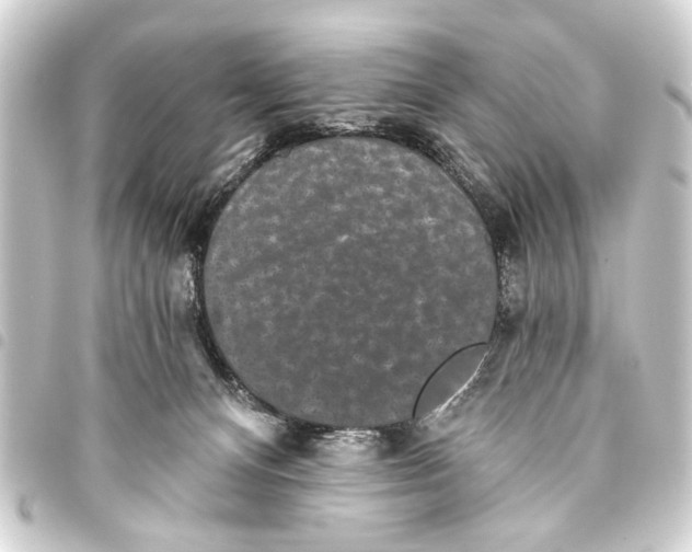 X0000093450128200711021122