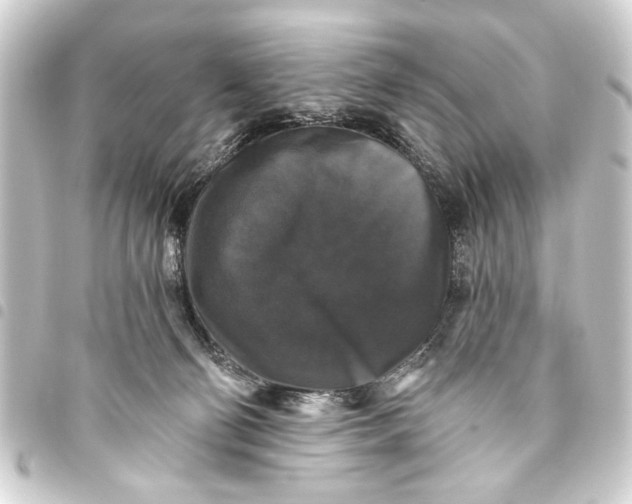 X0000093450130200711021122