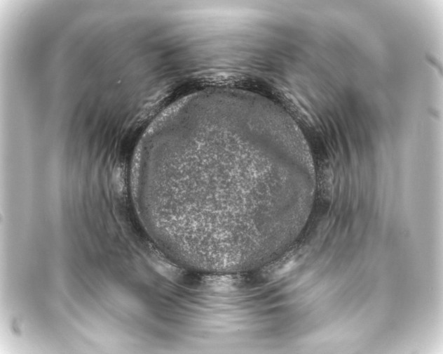 X0000093450131200711021122