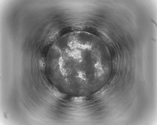 X0000093450134200711021122