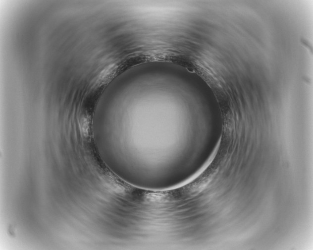 X0000093450139200711021122