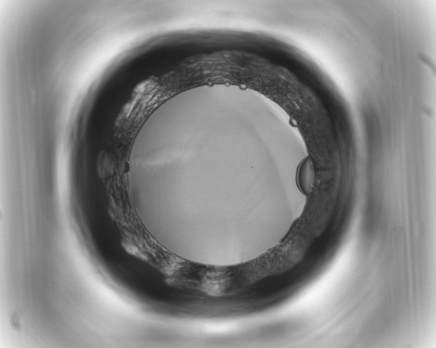 X0000093450143200711021122