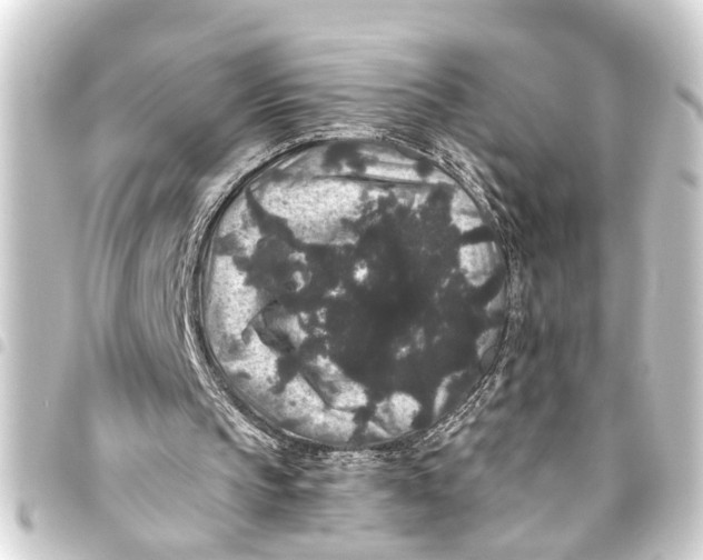 X0000093450145200711021121