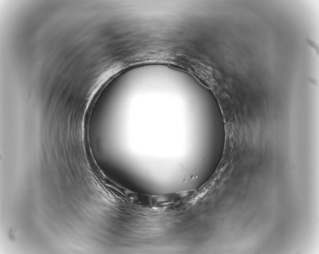 X0000093450148200711021121