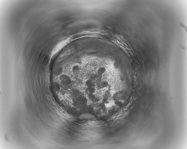 X0000093450149200711021121