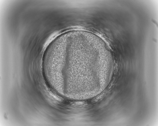 X0000093450151200711021121