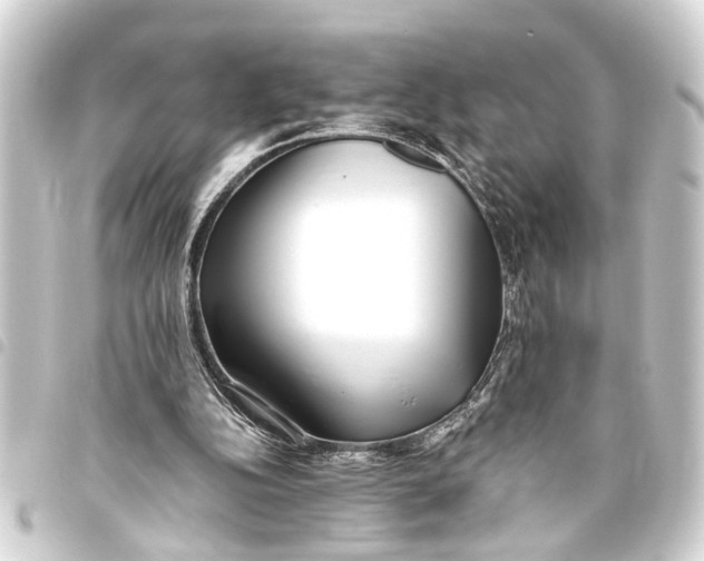 X0000093450152200711021121