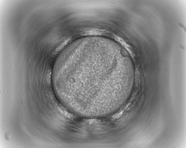 X0000093450153200711021121