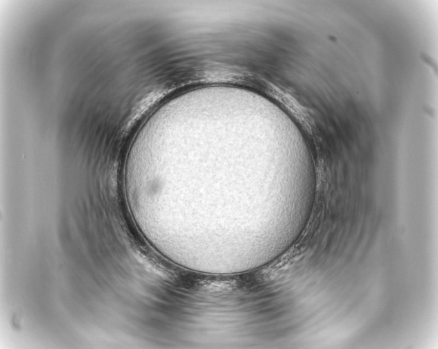 X0000093450155200711021121