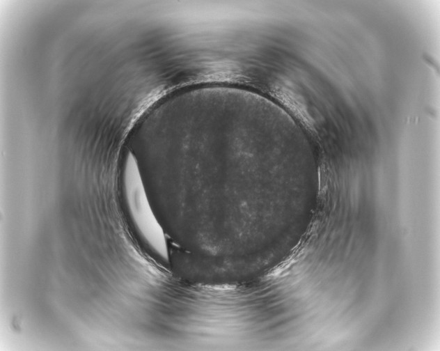 X0000093450156200711021121