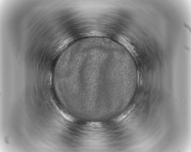 X0000093450157200711021121