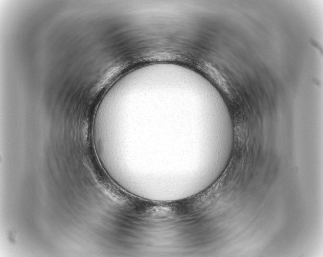 X0000093450159200711021121