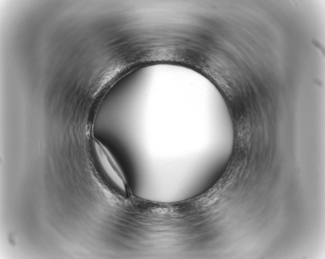 X0000093450160200711021121