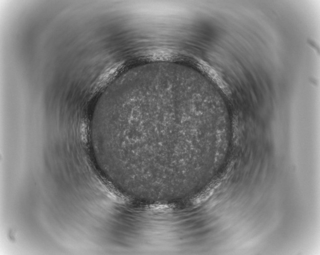 X0000093450161200711021121