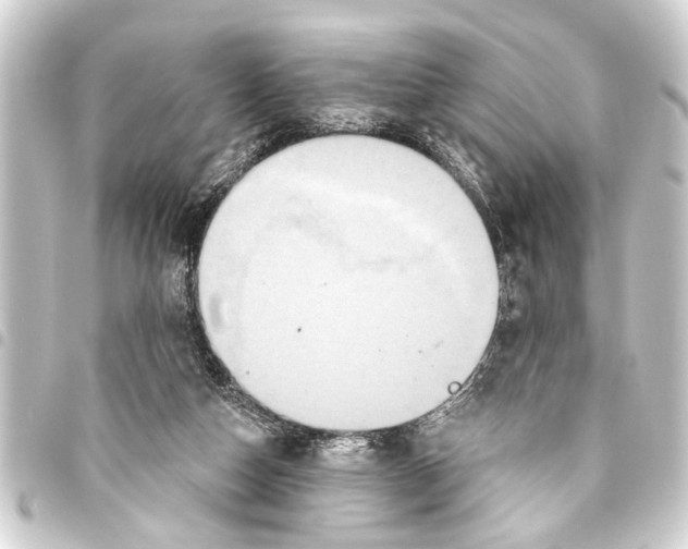 X0000093450162200711021121