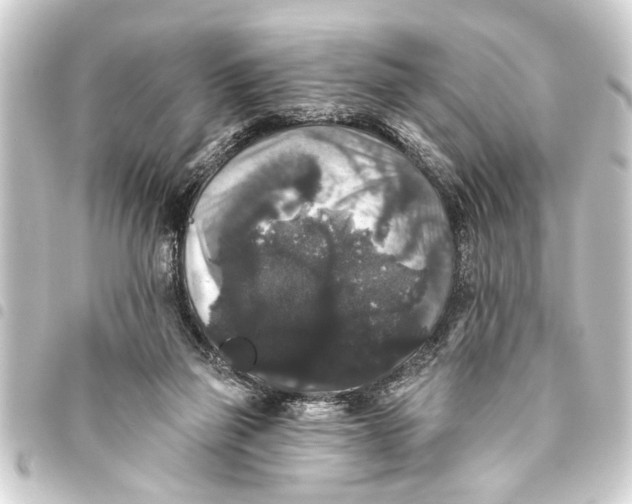 X0000093450165200711021121