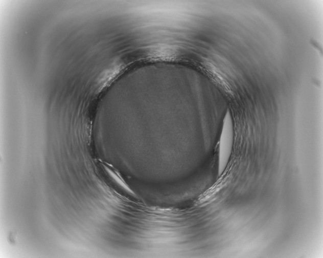 X0000093450168200711021121