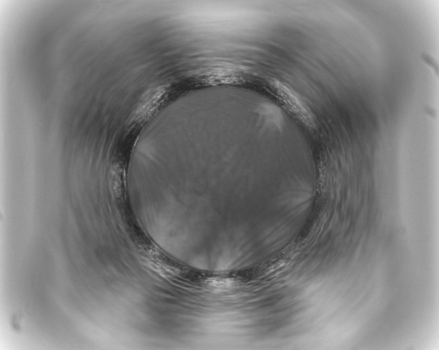 X0000093450169200711021121