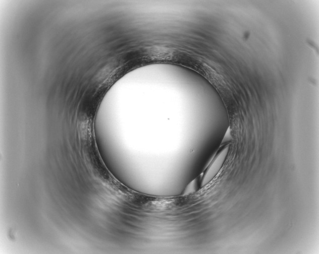 X0000093450172200711021121