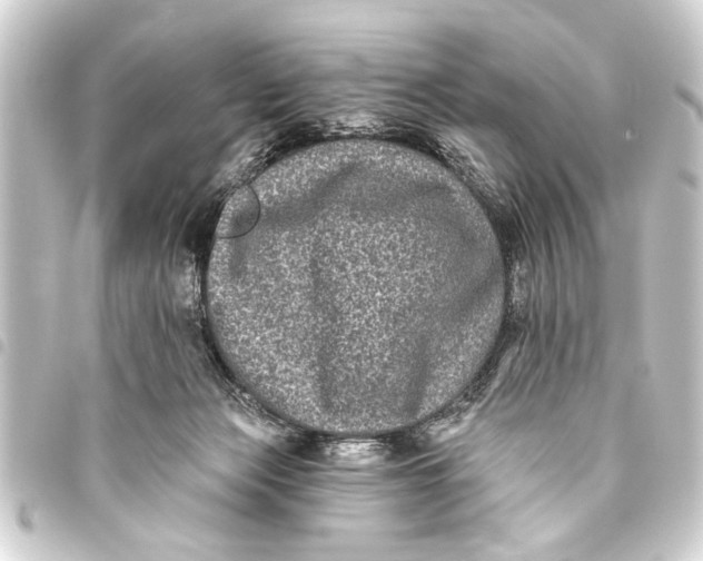 X0000093450173200711021121