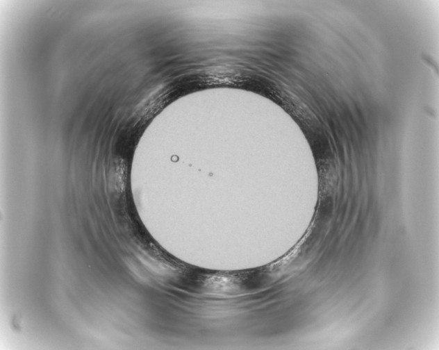 X0000093450174200711021121