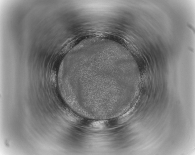 X0000093450178200711021121