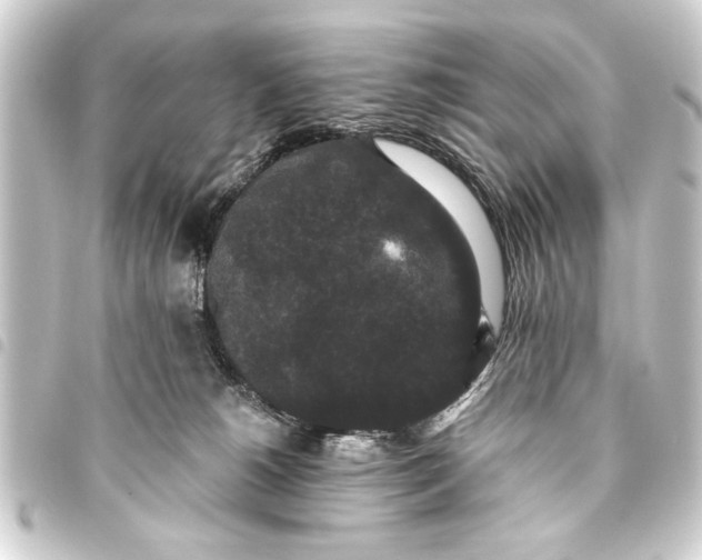 X0000093450180200711021121