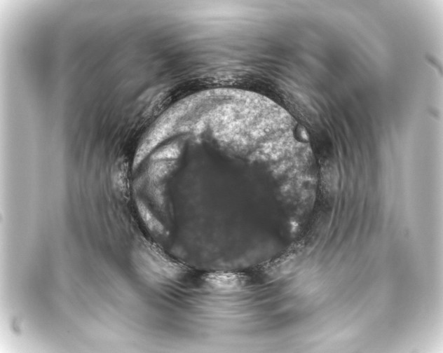 X0000093450181200711021121