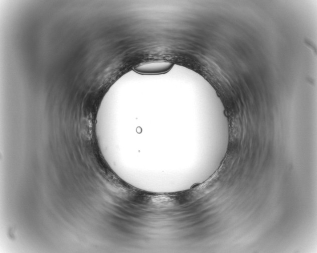 X0000093450183200711021122