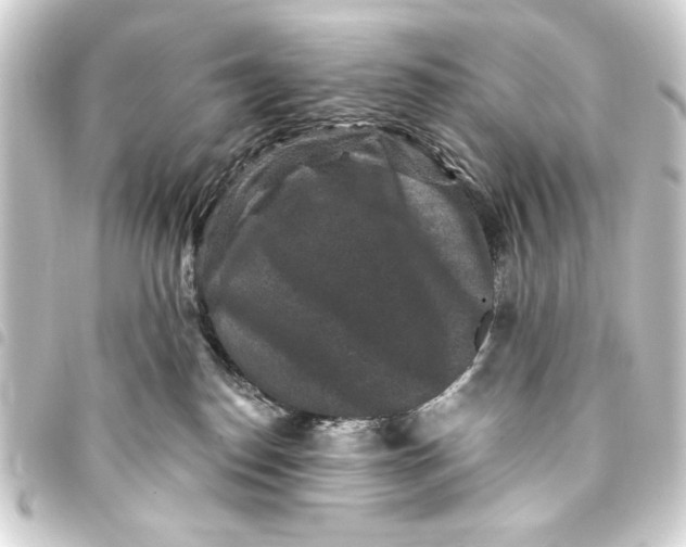 X0000093450186200711021122