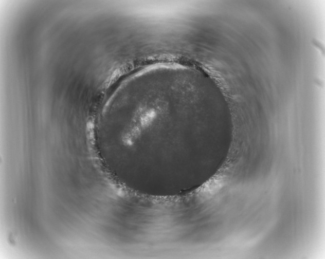 X0000093450192200711021122