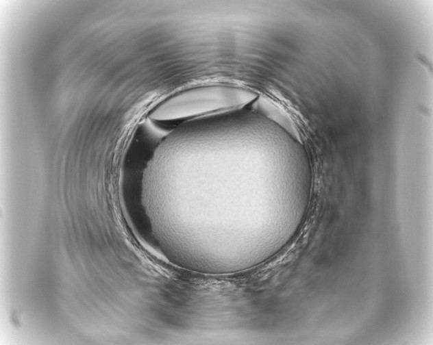 X0000093450193200711021121